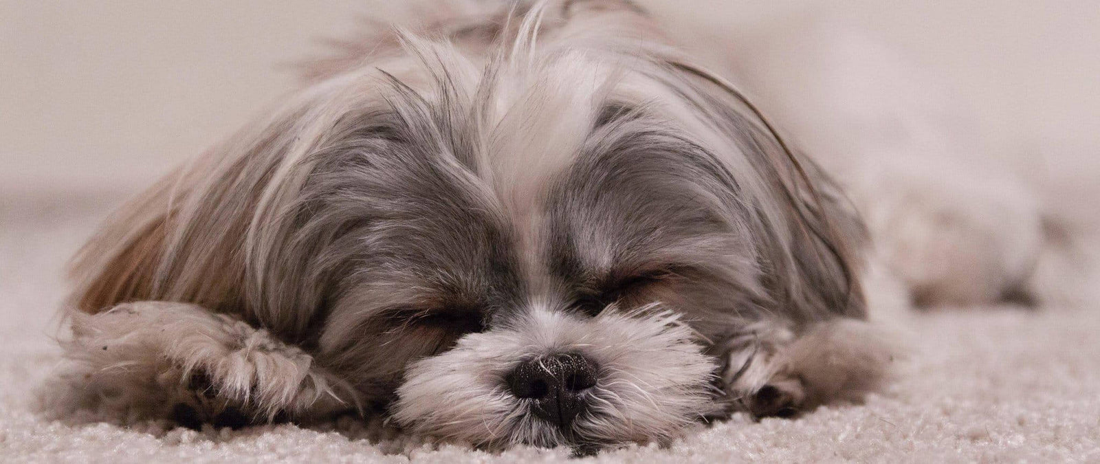 Tiredness: 7 vitamins and nutrients to fight fatigue