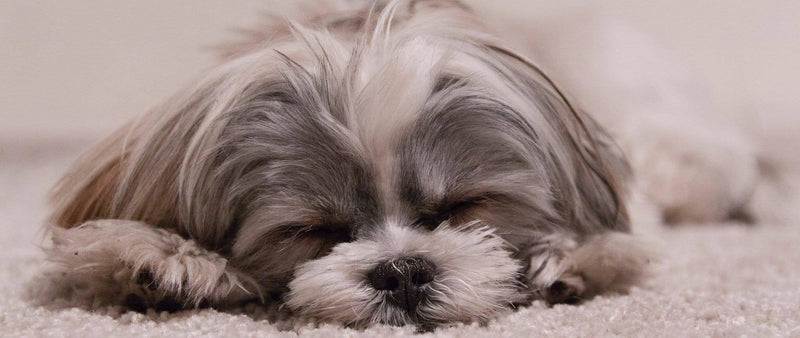 Tiredness: 7 vitamins and nutrients to fight fatigue