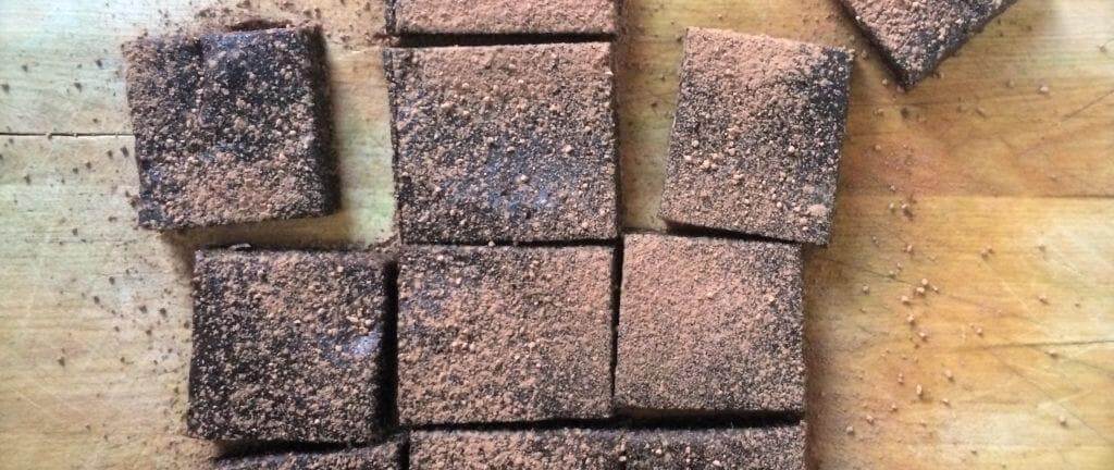 Dairy-free raw chocolate protein brownies recipe