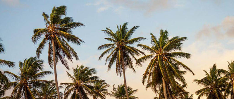 Travelling: 5 ways you can stay fit and healthy