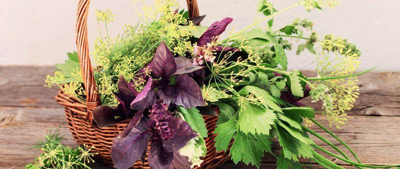 Mother's Day: healthy and thoughtful gift ideas