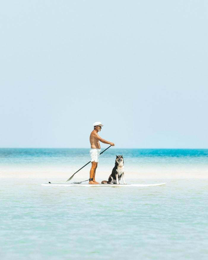 The 3 most simple ways to increase life expectancy