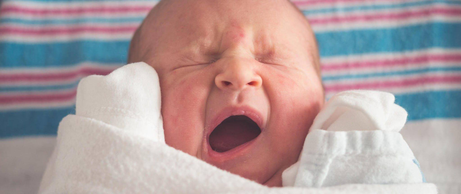 Pregnancy vitamins: nutrients for reproductive health