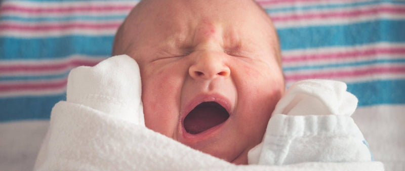 Pregnancy vitamins: nutrients for reproductive health