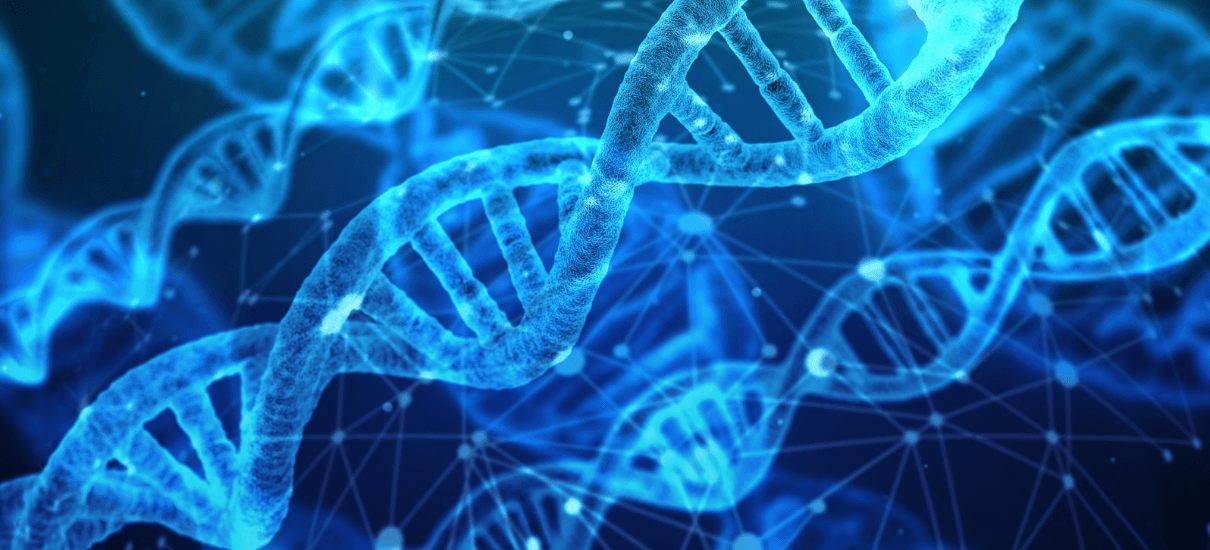 A love letter to DNA