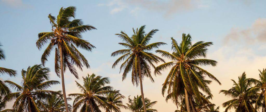 It's summer, but are you still vitamin D deficient?
