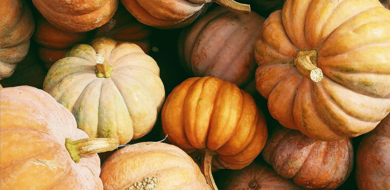 7 Reasons we're adding pumpkin to our food shop