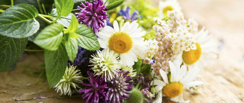 How to get motivated and spring clean your diet
