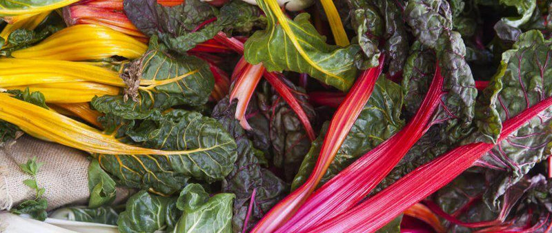 Greens: why are they so good for our health?