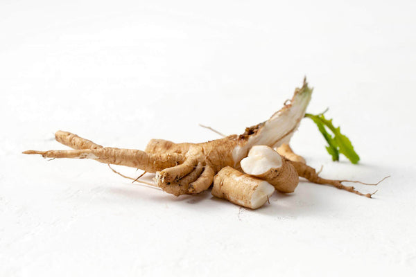 Chicory Root Extract